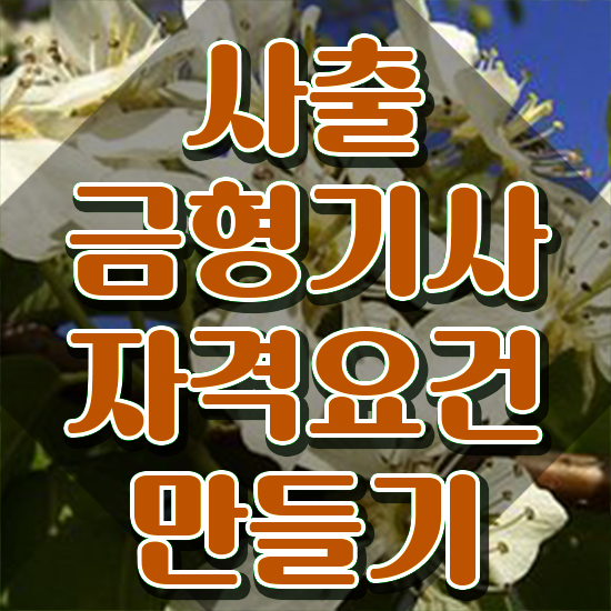  사출금형기사 필기 시험 요건 사출금형기사 시험응시조건 온라인으로 편하게 끝낸 노하우