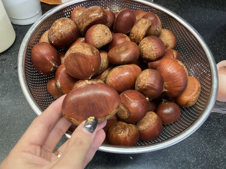  [맛있게 밤 삶는 법] 다이어트에 좋은 밤 간단하고 맛있게 삶는법 알려드려요(+밤 칼로리)