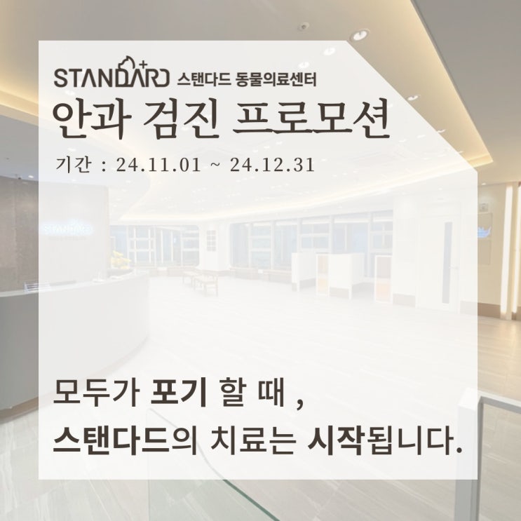  (종료) [위례24시동물병원] 24시 스탠다드 동물병원 안과 건강검진 프로모션