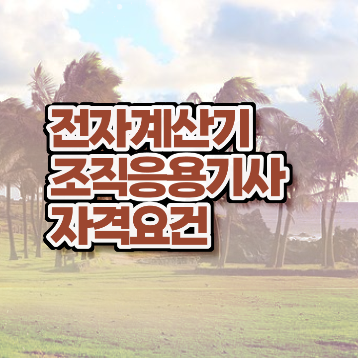  전자계산기조직응용기사 시험응시자격 온라인으로 편하게 끝낸 팁