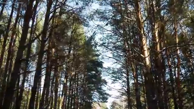  아동교육지도사 무료 특강 , 아동교육지도사 자격증 독학으로 합격한 비법 정보 모두 드려요