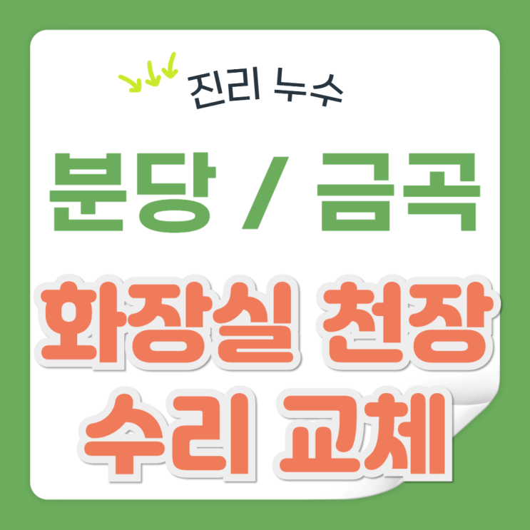  분당 화장실 하수배관 누수 수리 금곡동 욕실 물 샘 천장 교체 공사 잘하는 곳