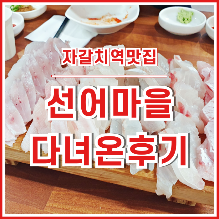  [충무동맛집] 자갈치역 가까운 선어마을 다녀온 후기