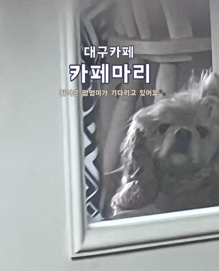  대구 김광석 거리에 위치한 한옥 카페, '카페 마리' 방문 후기