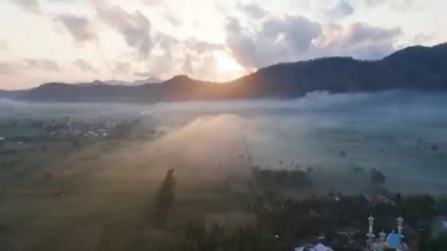  병원코디네이터 자격증 비용 , 병원코디네이터 자격증 온라인으로 간단히 학습한 후기 요약해봤어요