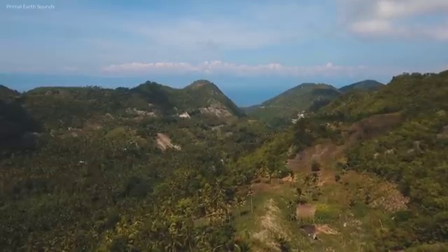  가족 심리상담사 , 심리상담사 자격증 1달 만에 합격한 팁 필수 정보