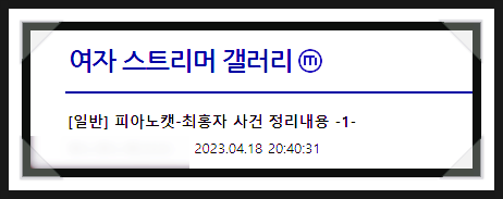 최홍자와 피아노캣 폭로전 카드 이후의 여파 : 결국은 주변 스트리머 ...