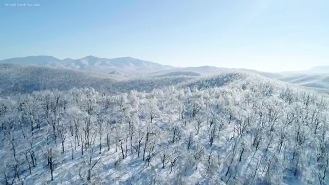  바리스타2급비용 , 바리스타 자격증 비용없이 온라인으로 취득한 노하우 , 채용 정보