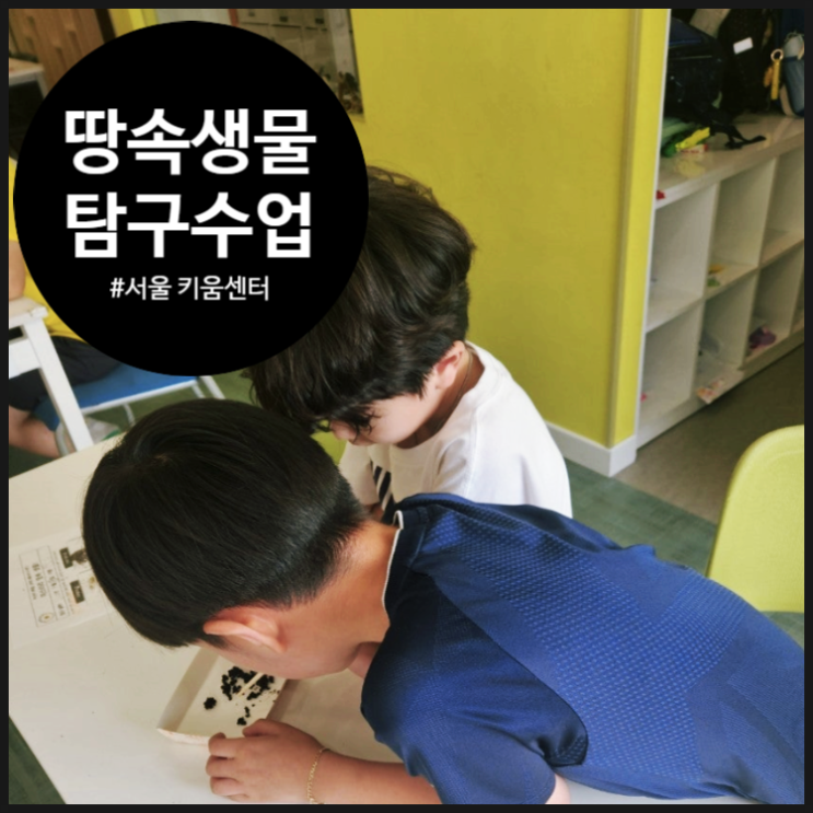  [동작구 키움센터] 땅속 생물을 살펴보는 특별한 생태계 수업 | 동작 미래교육 | 동작구 | 가족교육 |  오해피데이지