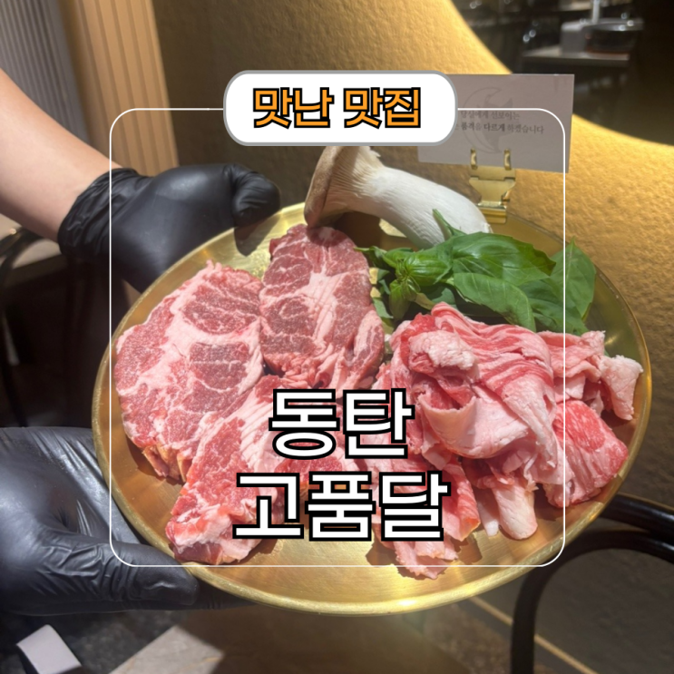  분위기 좋은 데이트 코스 동탄호수공원 고깃집 고품달