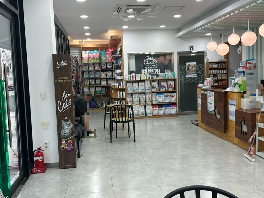 한결같은동물병원 사진 4