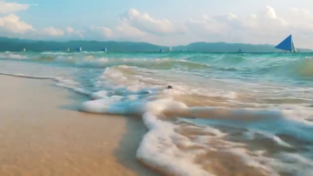  병원동행매니져 자격증 준비 과정 및 인기있는 이유