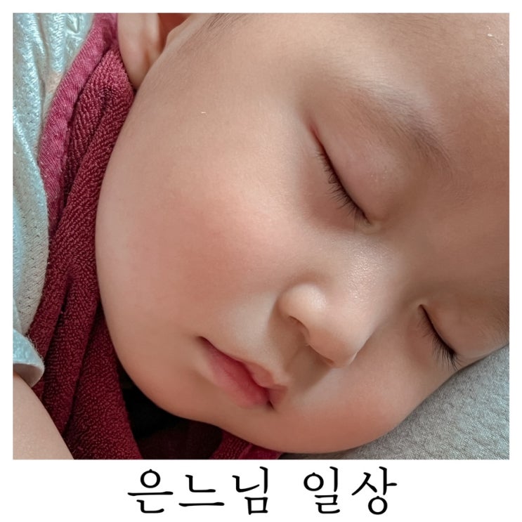  [은느님 일상]사랑둥이 구찌헌이랑 함께하는 일상