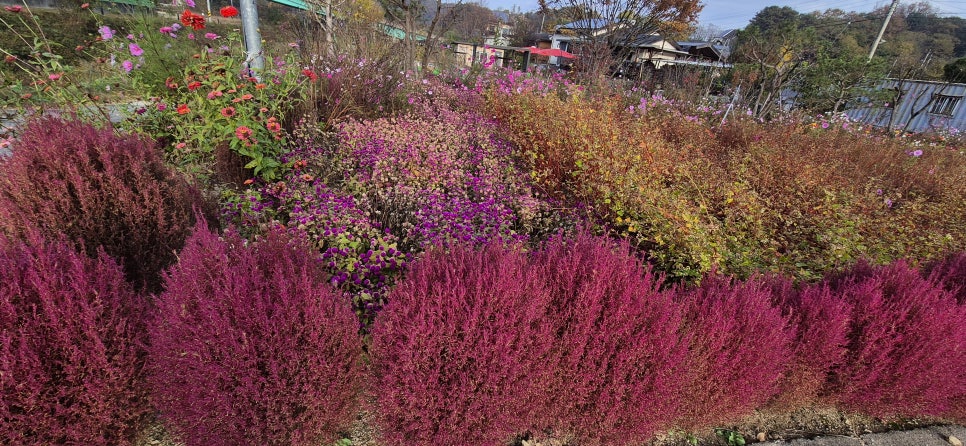 서낭당산 사진 3
