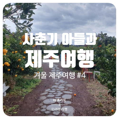  [제주여행기록] 사춘기 아들 둘과 3박 4일 겨울제주여행(4/4)