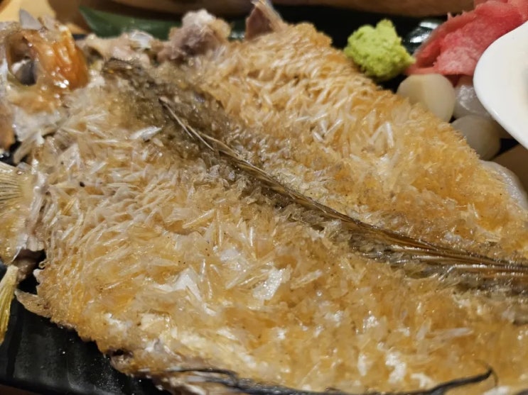 가산술집 모아래로바다야끼 이자카야에서 꼭 먹어야할 것