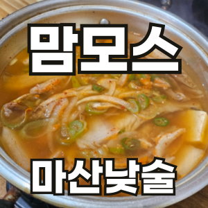  맘모스 호프 실내포장 마산에서 낮술을 마실수 있는 내가 아는 유일(?)한 곳