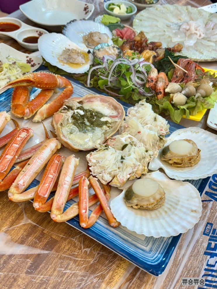  속초 대게 가성비 맛집 수율 좋은 대게 신선한 횟집 어부지리