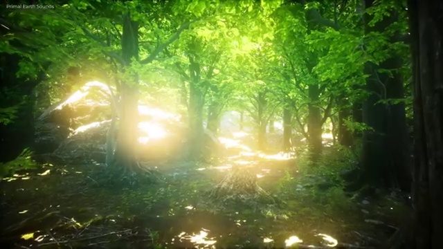  요양병원관리사 무료 특강 , 요양병원관리사 자격증 독학으로 준비한 과정 및 이후 전망