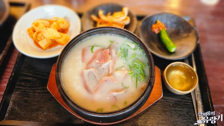  남천동 안목 정갈한 돼지국밥 부산 미슐랭 국밥 투어
