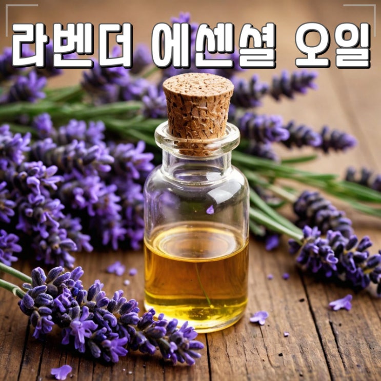 천연 라벤더 에센셜 오일 피부관리에 사용해보세요.