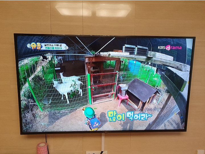  KT 인터넷 가족 결합 할인 만족스러운 가입