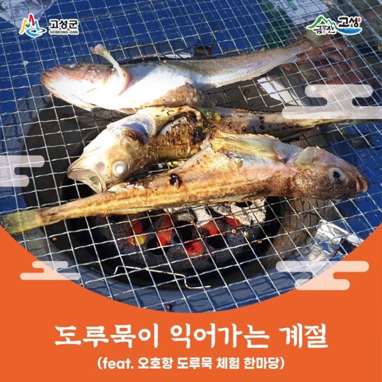  2024 오호항 도루묵 체험 한마당 축제 고성 죽왕면