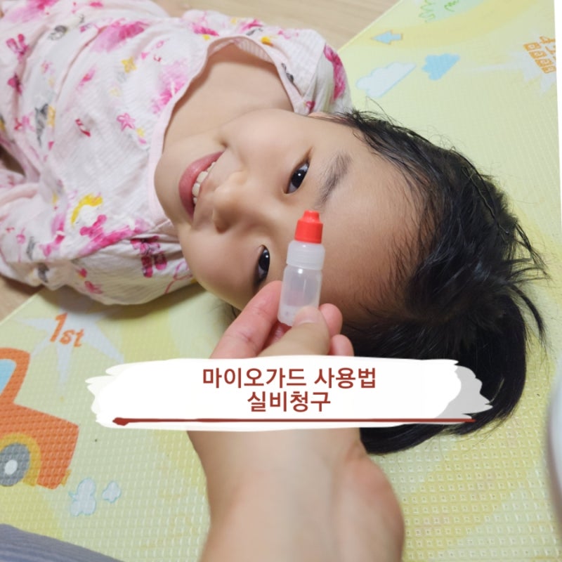 마이오가드 사용법 실비 청구 9살 근시 부작용