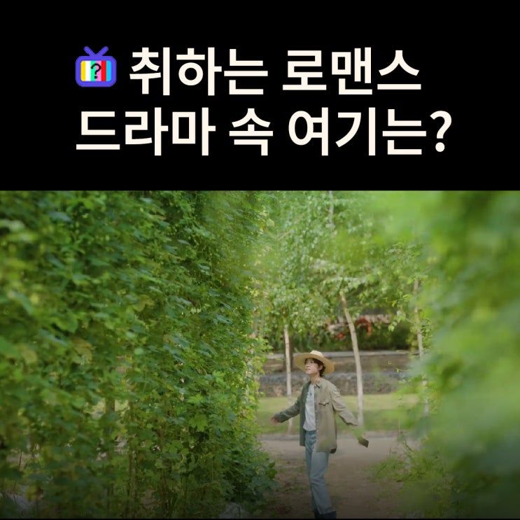  유일한 브루어리 윤민주의 홉농장과 집은? 홍천 하이디 치유농원 (드라마 취하는 로맨스 촬영지)