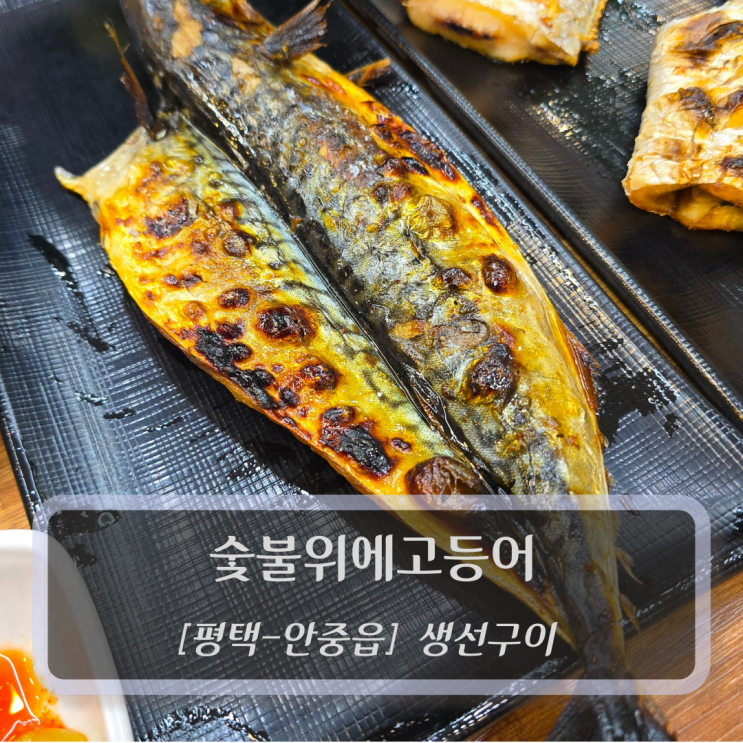  [평택-안중읍, 생선구이] 숯불위에고등어 - 평택생선구이 맛집
