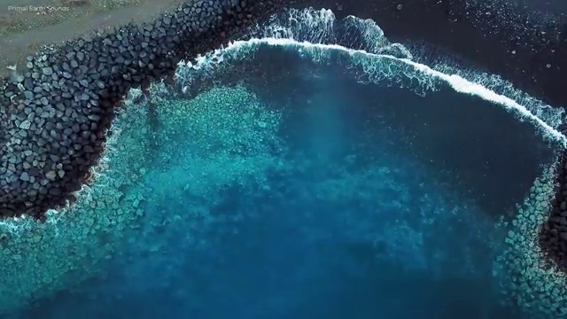  리부케 , 플로리스트 자격증 1급,2급 동시에 취득한 방법 필수 정보