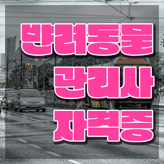  반려동물관리사 연봉 , 반려동물관리사 자격증 1급,2급 동시에 취득했던 후기 정리했어요