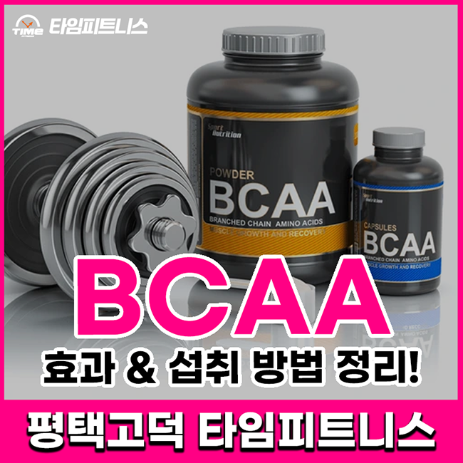  평택고덕 헬스장 - 헬스 보충제 BCAA 효과, 섭취 방법 모두 정리!