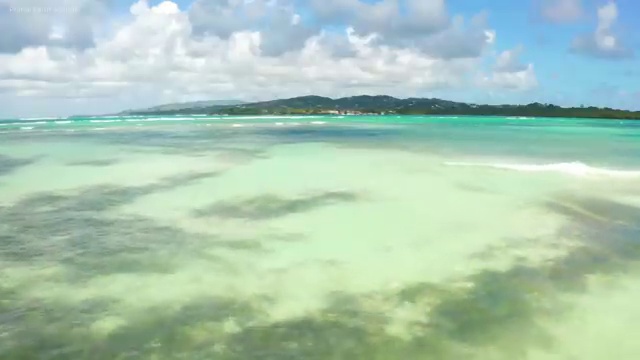  인산서구병원코디네이터 , 병원코디네이터 자격증 독학으로 합격한 전략 , 취업정보