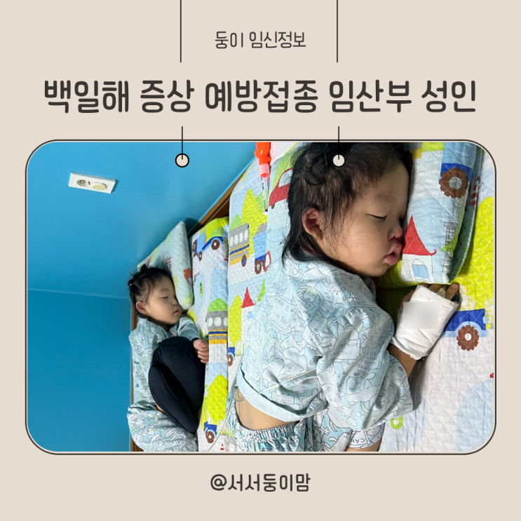  백일해 기간 증상 성인 임산부 예방접종 주사 가격