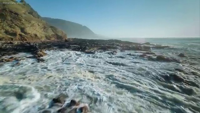  집합건물의 소유 및 관리에 관한 법률 , 집합건물관리사 합격 전략 및 활용방법