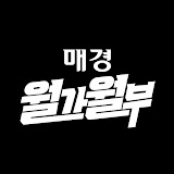 서학 개미에게 추천하는 유튜브 채널: 월가월부 (홍장원의 불앤베어)