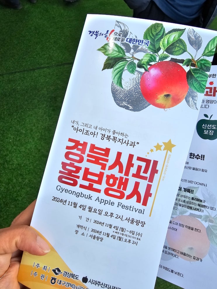  2024 경북사과축제 열린 서울광장 시식 및 할인가 판매 진행!