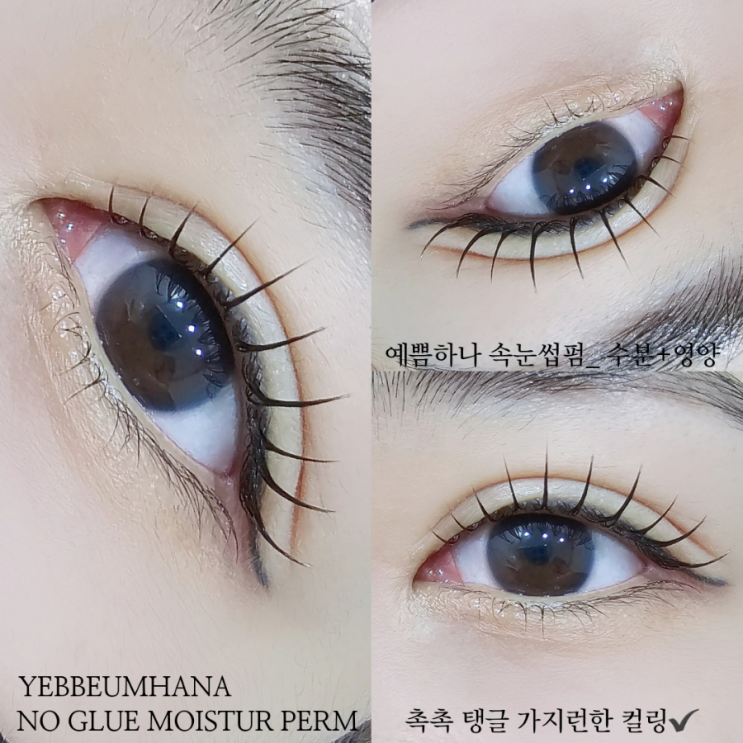  일산 속눈썹펌 속눈썹연장의 차이점