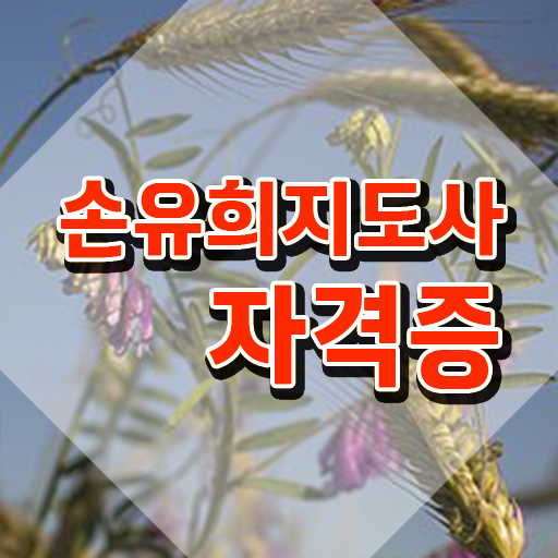 2급손유희지도사아카데미 , 손유희지도사 자격증 응시자격 없이 합격한 후기 및 향후 전망