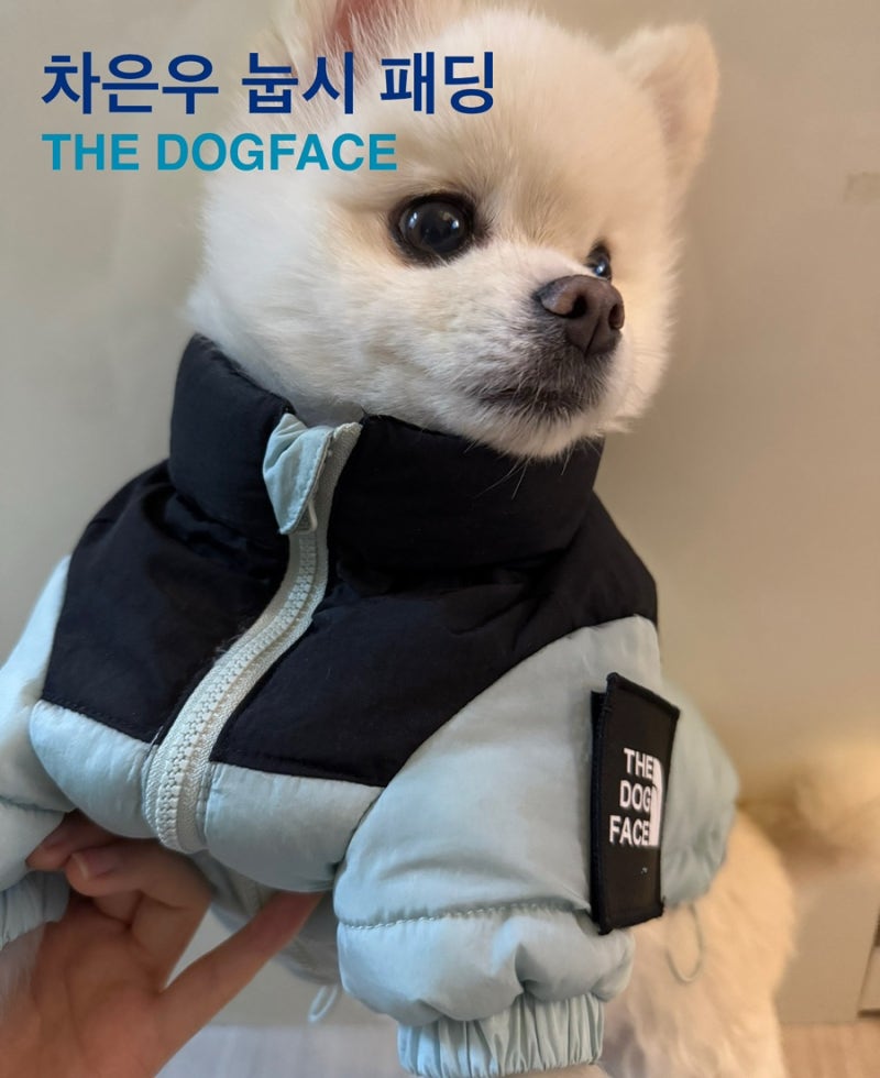 [ 강아지패딩 ] 더도그페이스 | 따뜻한 강아지 겨울패딩 추천 차은우눕시패딩 ㅋ