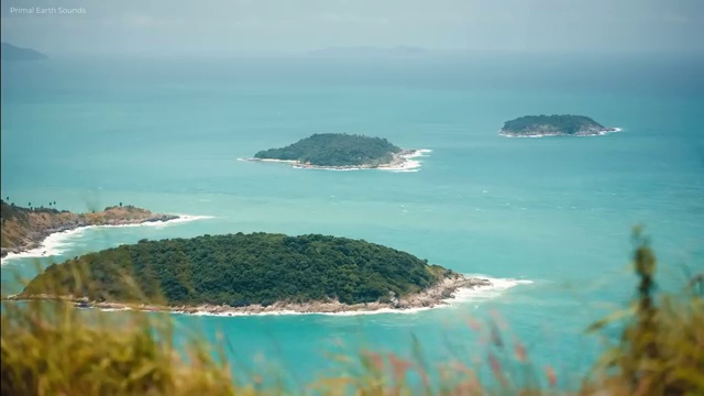  명리심리상담사 취득한 노하우 및 인터넷 학습과정