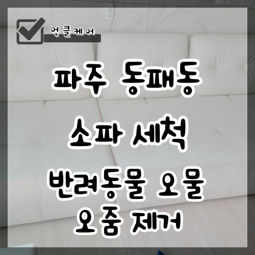  소파 세척 반려동물 오물 오염 냄새 제거 파주