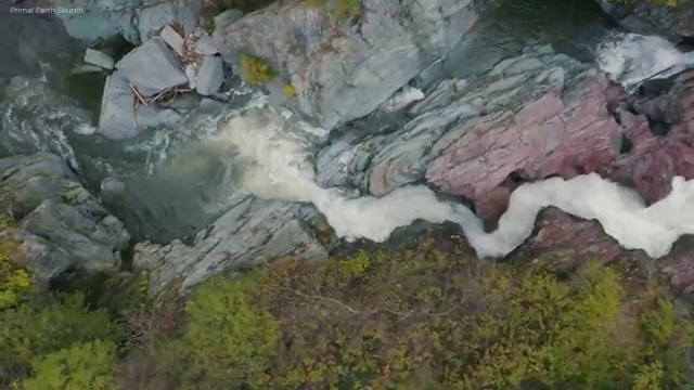  병원코디네이터 자격 , 병원코디네이터 자격증 온라인 교육으로 취득한 정보 확인하고 가세요