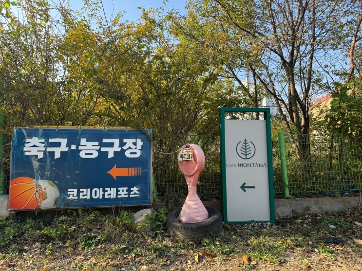  정원이 이쁜 카페 몬타나 일산 대형카페 다녀온 후기