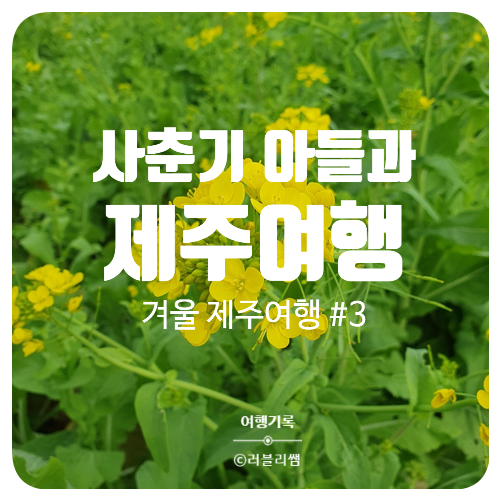  [제주여행기록] 사춘기 아들 둘과 3박 4일 겨울제주여행(3/4)