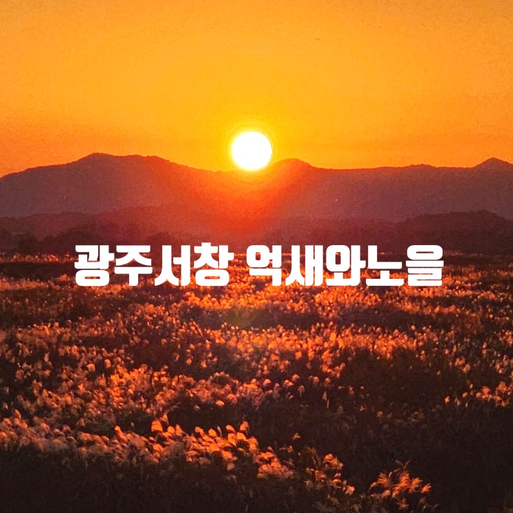 [전남광주]광주 서창 억새와 노을 -서창교에서 바라보는 억새와 노을 -광주 노을 명소