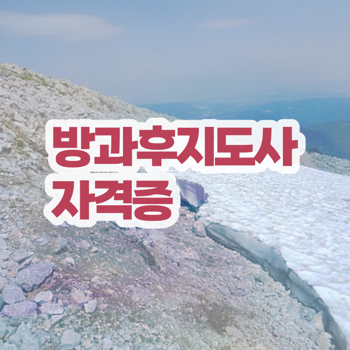  , 방과후지도사자격증 합격 전략 , 향후전망