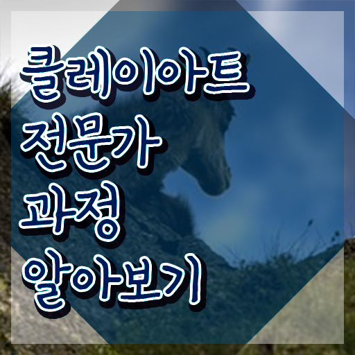  2급클레이아트전문가교육과정 , 클레이아트전문가 자격증 온라인으로 간단히 합격한 후기 및 무료수강 혜택