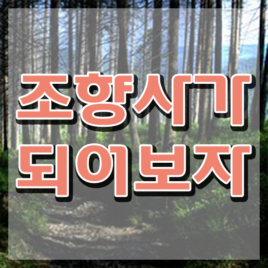  조향사 학원 , 온라인으로 간단히 조향사 취득했던 후기 요약해봤어요